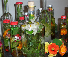 Wildkräuter in Flaschen